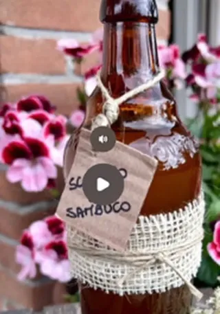 Sciroppo di sambuco
